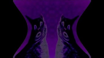 Preview 2 numa cat 3 deaf blind major deaf major in g major 4