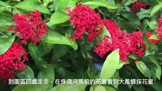 1090716導覽日記