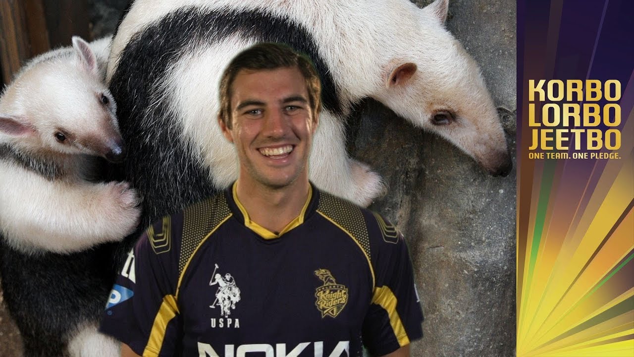 RANDOM ANIMALIZER: PAT CUMMINS | What kind of beast is he?