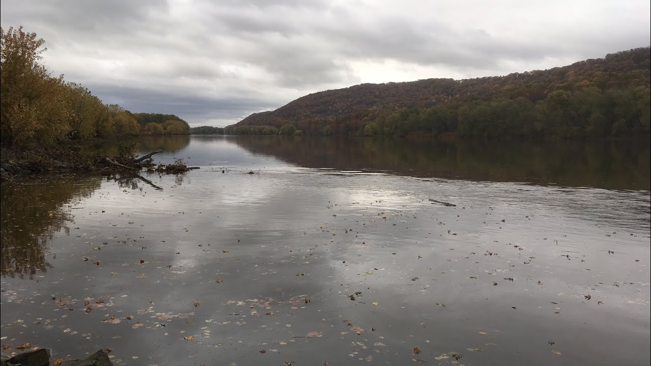 Susquehanna River Condition Report Bloomsburg, PA 11/5/17 LIVE