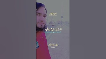 #قرآن #اكسبلور #المصحف #villagelife #لايك #الرحمن #حالات_واتس #القزابري #duet #الورقات #سورة_الفلق