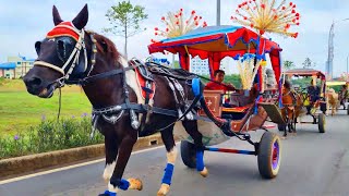 NAIK KUDA DELMAN ~ NAIK DELMAN ISTIMEWA ~ SHOLAWAT NABI MERDU RAHMATUN LIL ALAMEEN ~ MANUSIA IDOLAKU
