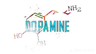 Kungs feat. JHart - Dopamine [LYRIC VIDEO][FAN VIDEO][LYRICS]