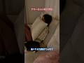 今日の19時にYouTubeでアップしました。アミーちゃん久しぶりの熱心配で寝れない😅#サンバ夫婦 #風邪#アミーちゃん