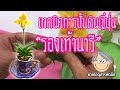 ยายกาญสารพัดนึก | รองเท้านารี | เทคนิคการปั้นดอกไม้จากดินญี่ปุ่น