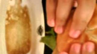 grease burger