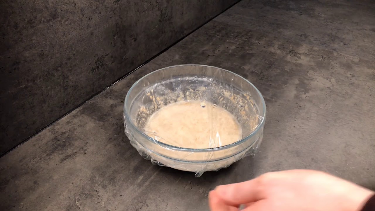 Bake med surdeig - del 2 - bytt ut industriell gjær mot surdeig