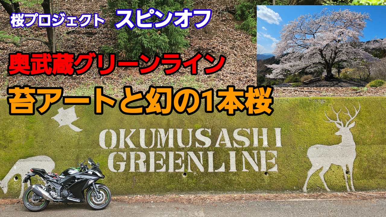 Okumusashi Green Line: Moss Art and the Legendary Single Cherry