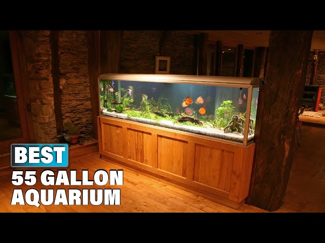 Best 55 Gallon Aquariums in 2023 (Top 10 Picks) 