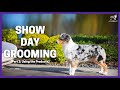 Show Day Grooming