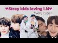 Stray Kids love I.N