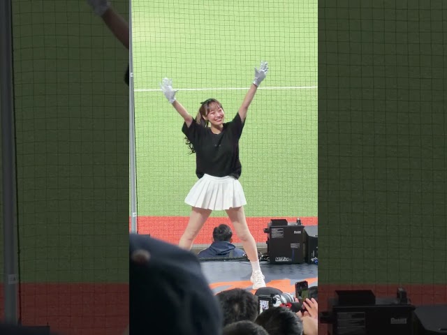 Chihiro 千紘 J-LIONS 「非·日常」統一7-11獅 Uni-Girls 臺北大巨蛋 📷 20260823