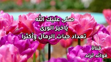 أروع أداء للصلاة على النبي ﷺ مكررة بصوت القارئ : إسلام صبحي | نصف ساعة من السكينة 💓