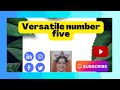 Versatile Number Five (5)