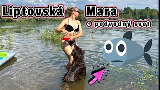 Výlet na Liptovskú Maru ⛵ so psami 🐾 + 🎦podvodný život 🐳| video so psom | ryby | podvodné zábery