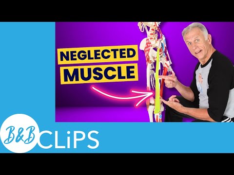 Stiff Hip After Sitting? Must Do These Stretches! pt 1