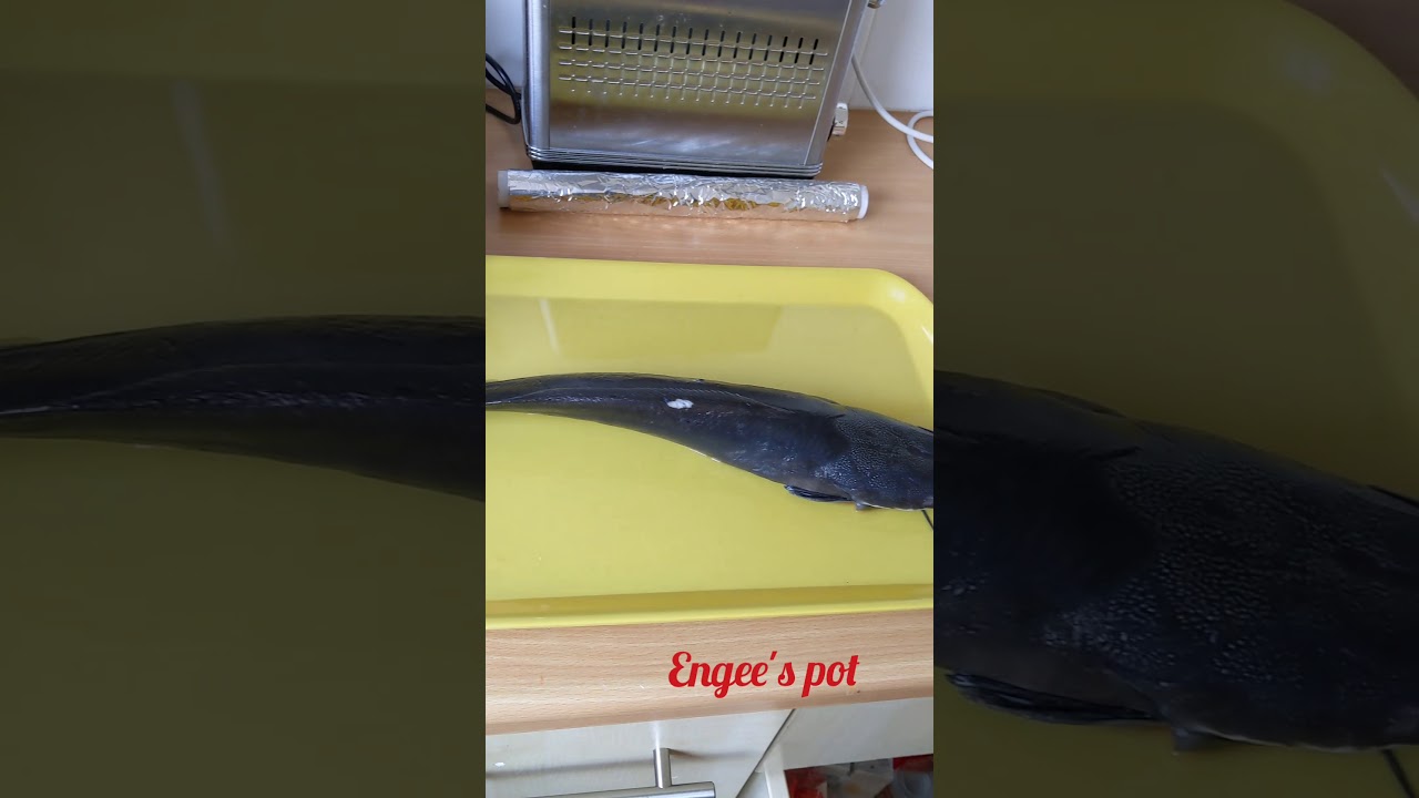 Grilled catfish Nigerian style ( point and kill) YouTube