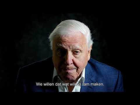 David Attenborough: A Life on Our Planet - Theatrical Trailer (Dutch)
