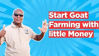 6 Tips on How to start goat farming Business with little money