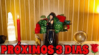 DAMA DA NOITE REVEALS EVERYTHING ABOUT YOUR NEXT THREE DAYS !!! 🔮🌹🌟✨❤️