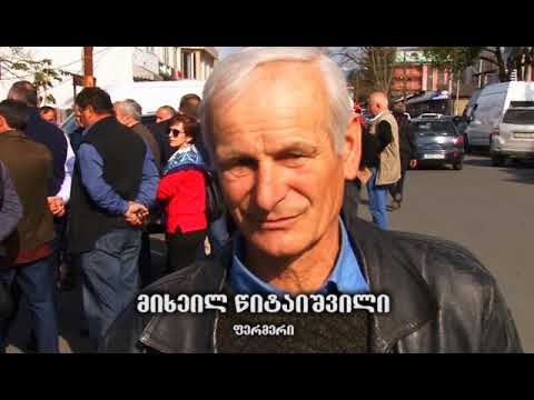 მეთხილე ფერმერებს შესაწამლი აპარატები დღეს  გურიაში დაურიგდათ