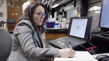 Katerina Akassoglou, MS Researcher - 2019 Barancik Prize Winner