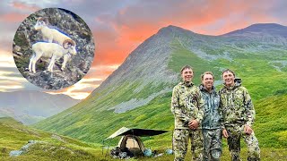 Dall Sheep Hunt in Alaska / DIY Father & Sons