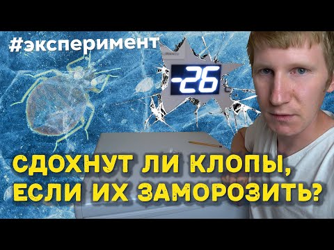 Видео: При каква температура умират кърлежите?