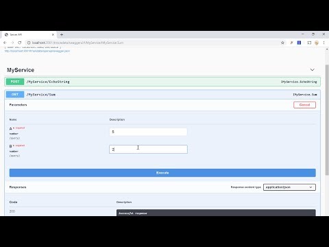 TMS XData 4.5 - Parameter Binding and SwaggerUI