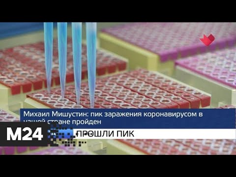 "Москва и мир": бесплатный тест и прошли пик - Москва 24