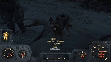 Fallout 4 Dogmeat Says F**k