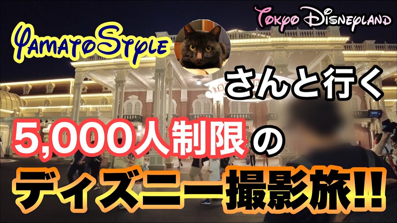 【ディズニー大学社員センター】 限定 ランヤード 貴重 東京ディズニーランド5,000人制限の空いてる日にヤマトスタイル