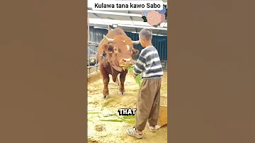 Kulawa Tana Kawo Sabo 