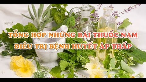 Những bài thuốc nam điều trị bệnh huyết áp thấp đơn giản, dễ dùng