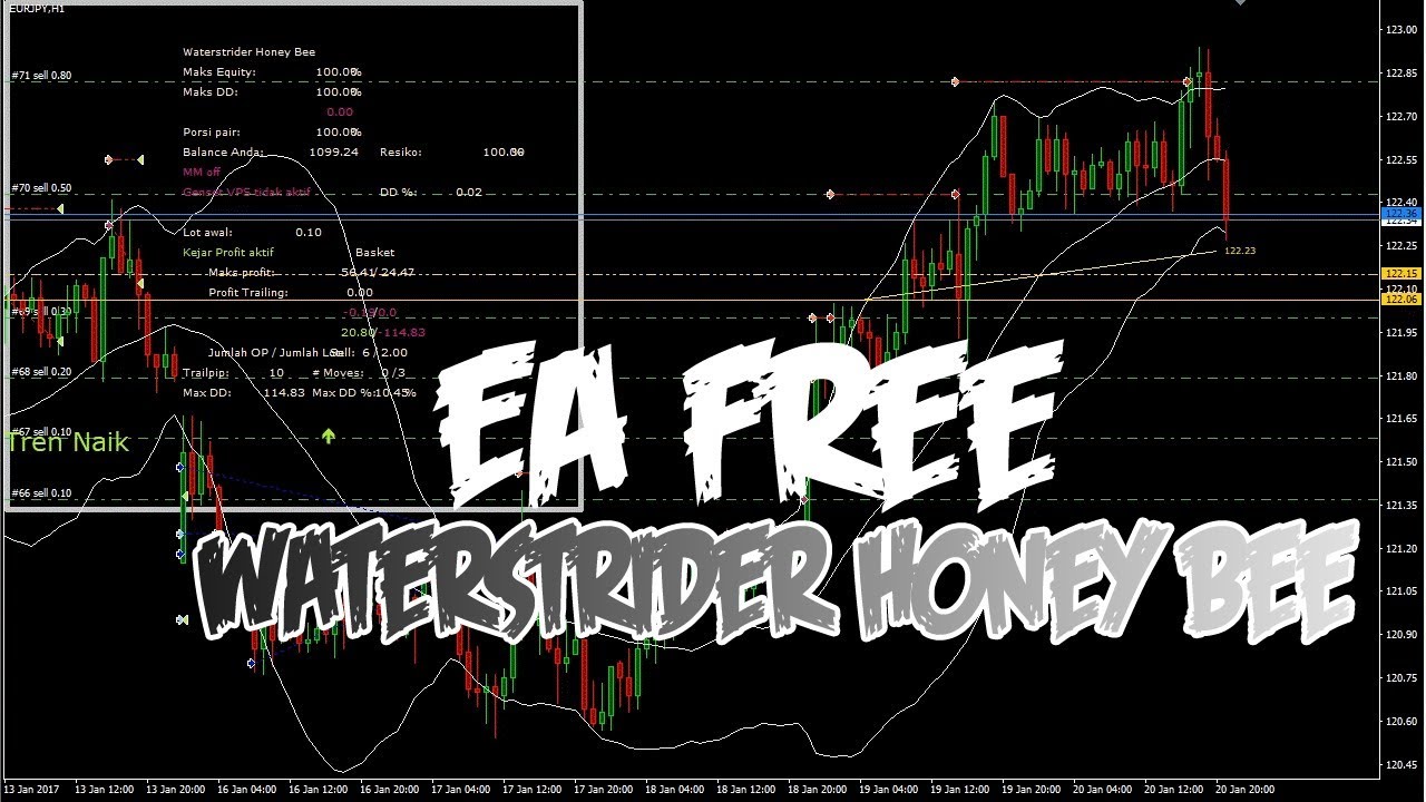 Sharing EA Free - Waterstrider Honey Bee