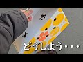 ハムスター保護しに行ったら別なものを持ち帰ってました