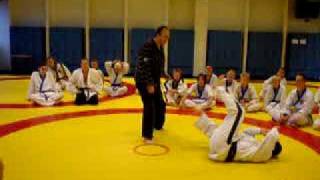 Hapkido Leg vs Leg Technique