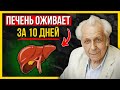 Простые шаги чтобы спасти свою печень прямо сейчас