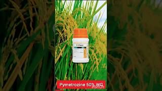 Chess insecticide syngenta | Chess insecticide | Best insecticide | #shorts #shortsfeed