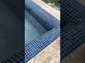 Fresh Pool Plaster #poolbuilder #poolconstruction #custompool #wacotexas #poolideas #gunitepools