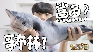 【從零開始】料理整隻鯊魚｜RICOの食材圖鑑