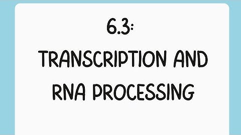 ✨AP Bio Topic 6.3 TikTok: Transcription and RNA Processing✨
