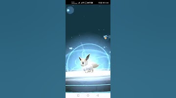 Pokemon GO evolves a 3 stars shiny Eevee into Vaporeon