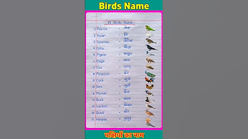 पक्षियों का नाम इंग्लिश और हिंदी में | 15 birds name in English and Hindi | #shorts #birds #bird