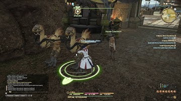 FFXIV: ARR - Story Quest 217 If Wishes Were Horsebirds