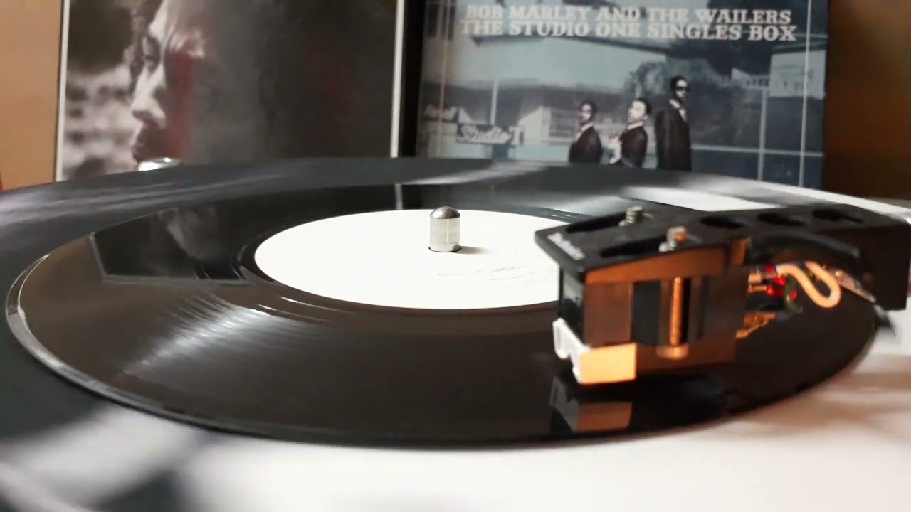 Bob Marley - Natural Mystic 7