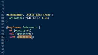 Using CSS animation to hide font flicker on Squarespace websites