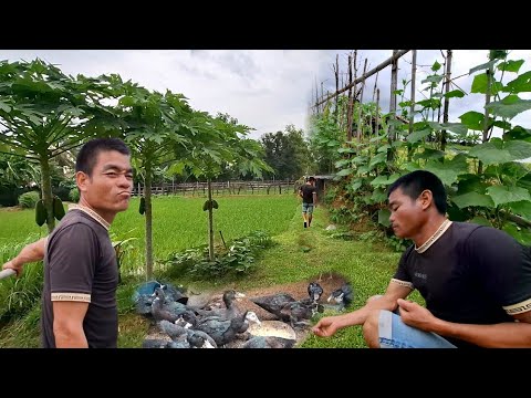 Juega en WinBay Casino Online de Forma Segura: ¡Experiencia de Juego Confiable en España!