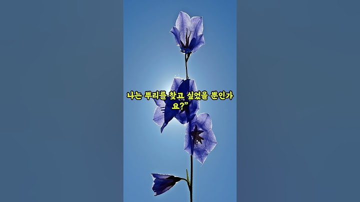 슬기로운 시니어 생활:  노벨문학상 '채식주의자' -한 강-
