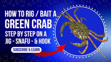 How To Rig / Bait a Green Crab on a Jig , Single Hook & SNAFU Rig for Blackfish & Sheepshead